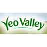 f13/yeovalleygroup.jpg