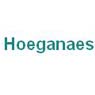 f16/hoeganaes.jpg