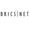 f17/bricsnet.jpg