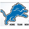 f17/detroitlions.jpg