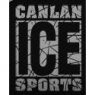 f17/icesports.jpg