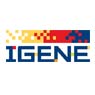 f3/igene.jpg