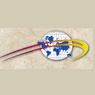 f3/internationallibrary.jpg