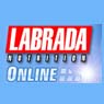 f3/labrada.jpg