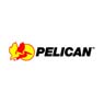 f3/pelican.jpg