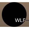 f6/wlf.jpg